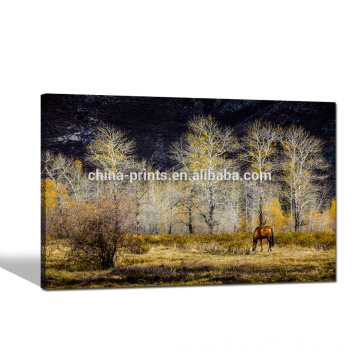 Impression de toile de paysage naturel Art / Horse Photo Print on Canvas / New Wall Art Picture